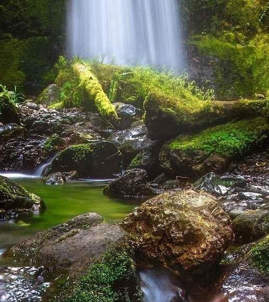 粉象生活是干嘛的APP