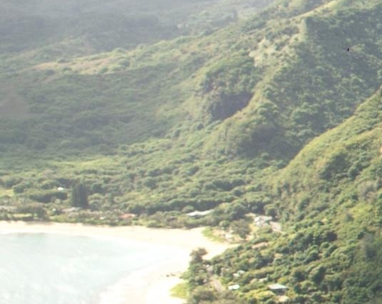 粉象生活京东超市