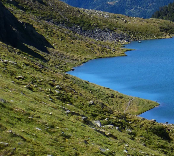 粉象生活骗局?揭密很多人被骗!说说他们的亲身经历!