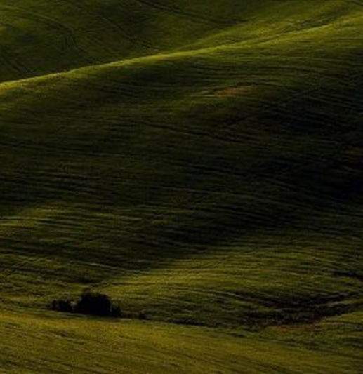 粉象生活粉丝怎么增加