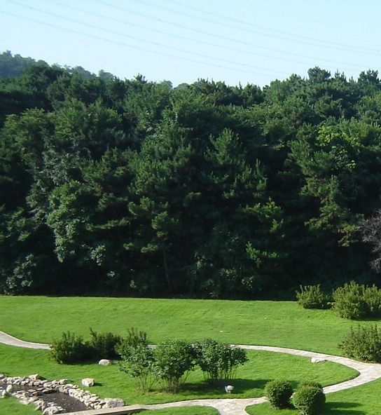 粉象生活自营真的假的