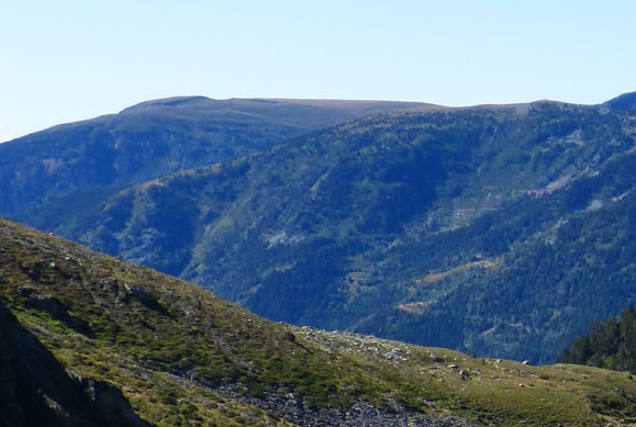 惠州粉象生活怎么样