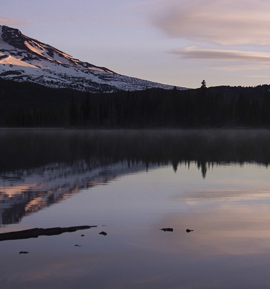 粉象生活下载app