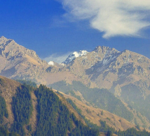 汕尾粉象生活加盟