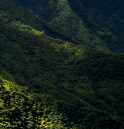 粉象生活加入vip上线有什么好处