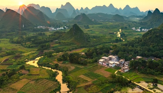 如何成为粉象vip会员