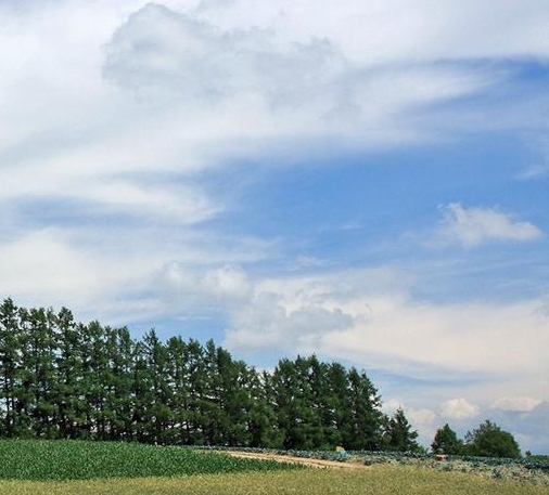 粉象生活如何设置主页