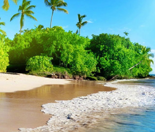 自营和粉象生活