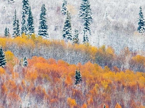 桃子的小镇生活日常生活八