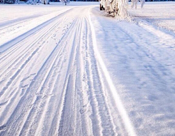 粉象生活打卡能分多少钱