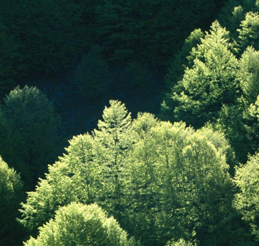 所谓会生活不是指发财