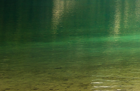 粉象生活邀请码