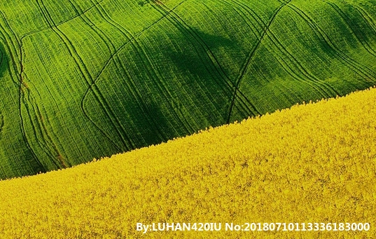 粉象生活怎么赚钱