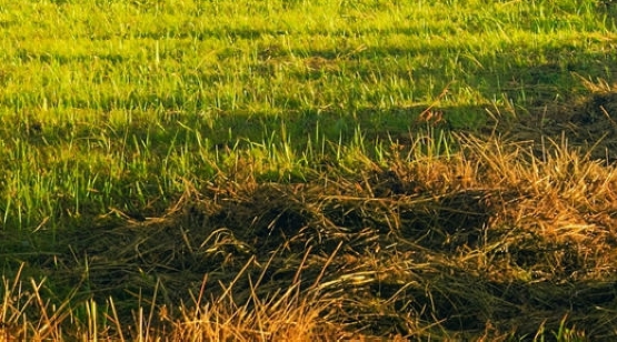 粉象生活邀请码