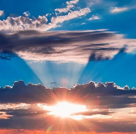 粉象姑娘卡通图片