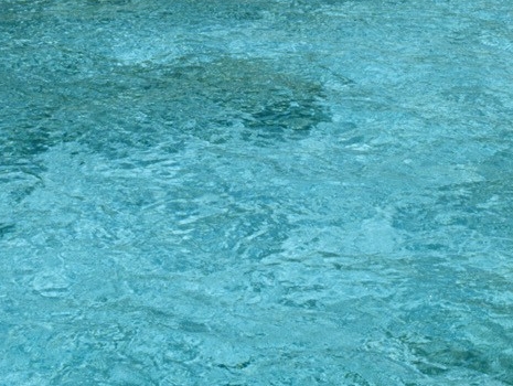 比利时深粉象啤酒价格