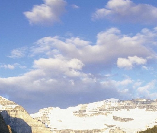 粉象生活模式合法吗