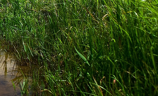 粉象生活保护童心