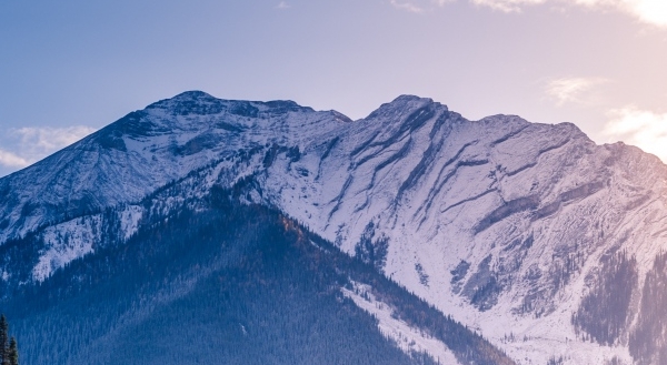 潮州粉象生活如何使用