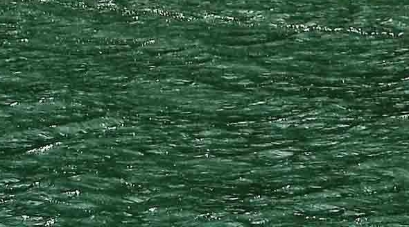 粉象生活分享后怎么没有佣金