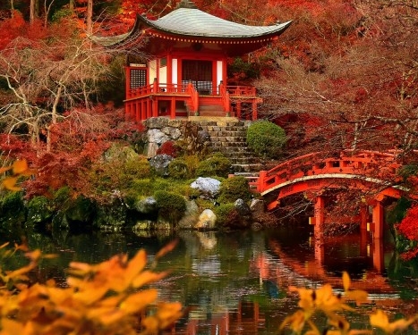 粉象生活是干嘛的