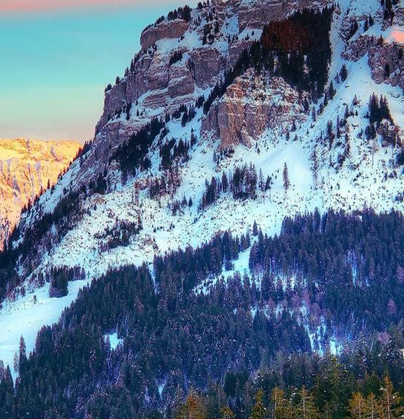 为什么粉象生活省钱