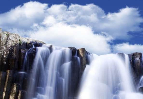 粉象生活是什么?