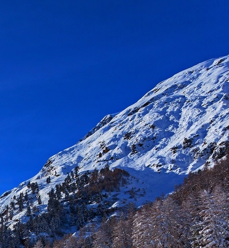 粉象生活秒杀报名