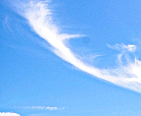 粉象生活赚钱教程