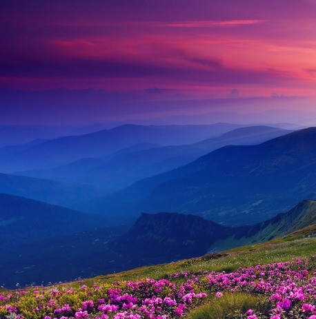 狡三窟生活虎画添足