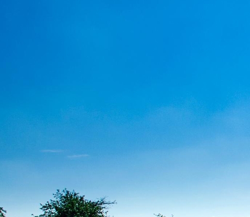 粉象生活合法吗