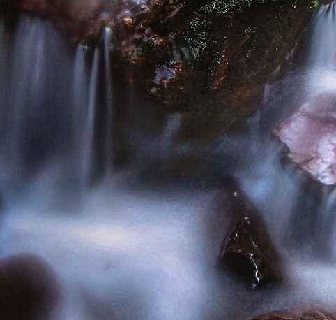 粉象生活邀请码
