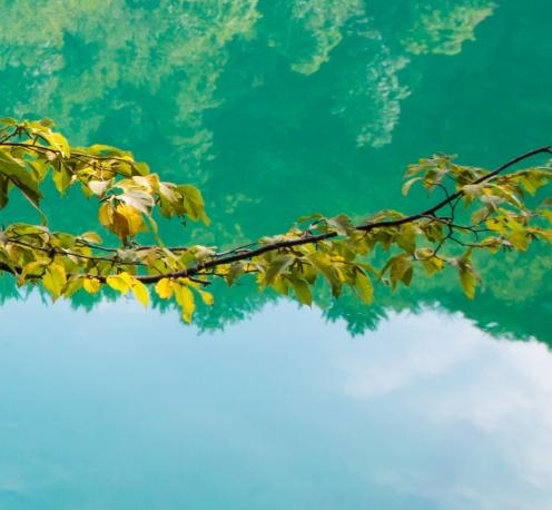 潮州粉象生活收入