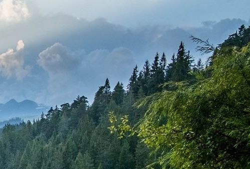 粉象生活怎么赚钱