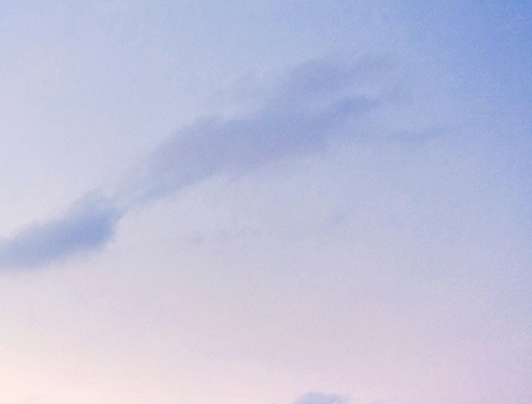 粉象生活淘宝优惠券在哪里