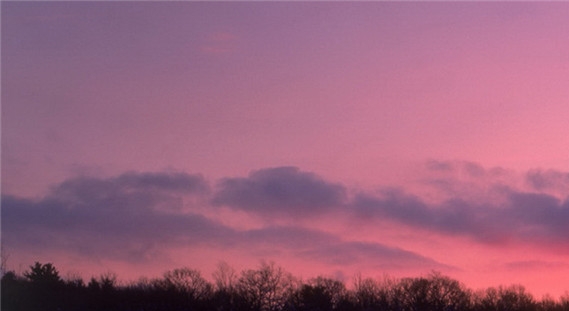 粉象生活的粉丝怎么升级