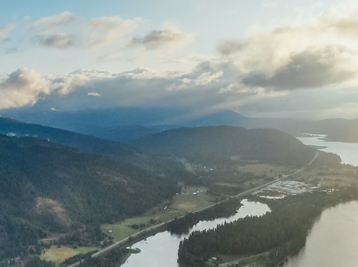 浙江粉象生活代理
