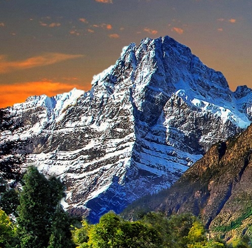 粉象生活怎么填写邀请码