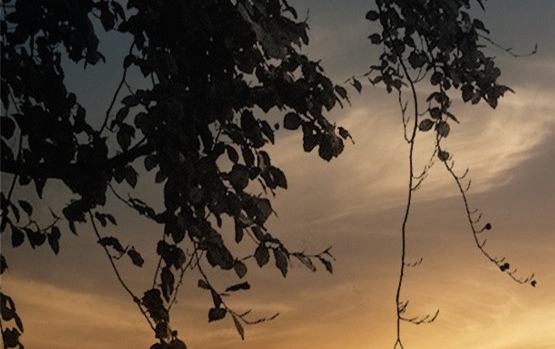 南京粉象生活注册