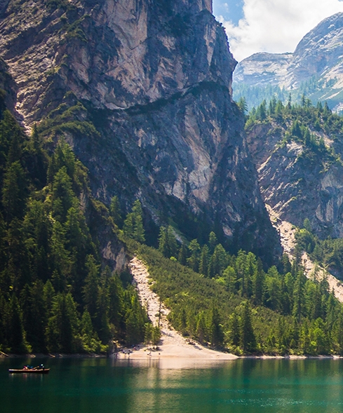 怎么把粉象生活上产品搬到闲鱼上买