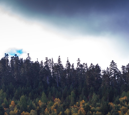 粉象生活不交钱能用吗
