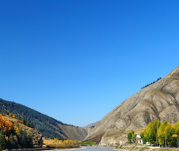 粉象生活邀请码