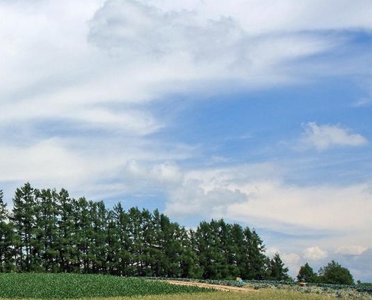 粉象生活如何上传商品