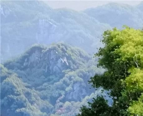 粉象生活是什么?