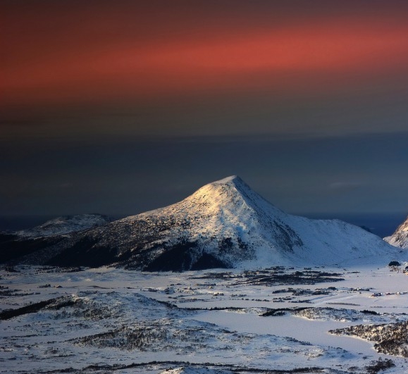 粉象生活粉丝怎么增加