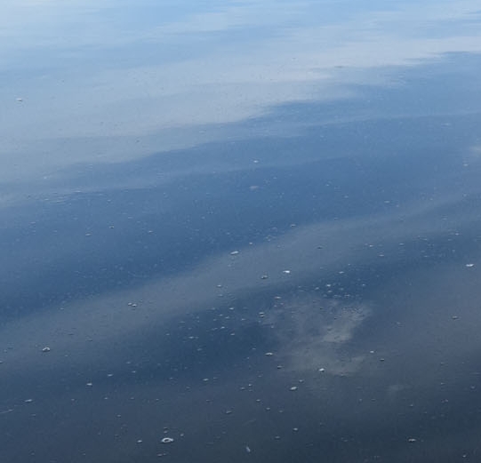 微信小程序仙宠物语礼包码领取