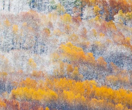 粉象生活的含义