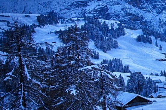 粉象生活怎么下载