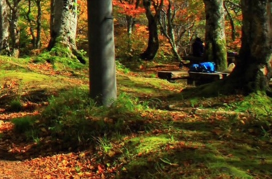 中国最新生活新闻