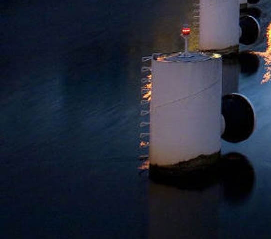 粉象生活靠谱吗